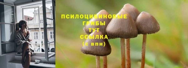 соль ск Лабытнанги